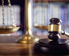 Bankruptcy Laws
